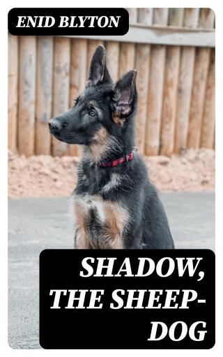 Shadow, the Sheep-Dog
