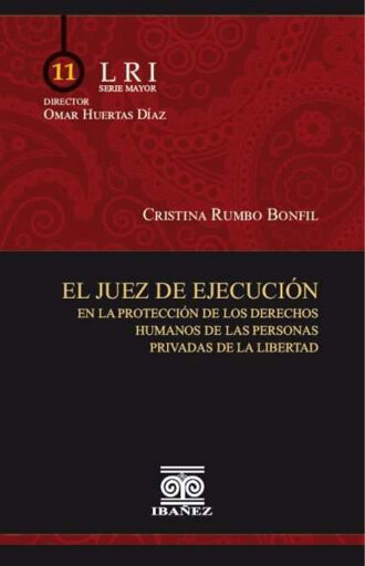 El juez de ejecución en la protección de los derechos humanos de las personas privadas de la libertad