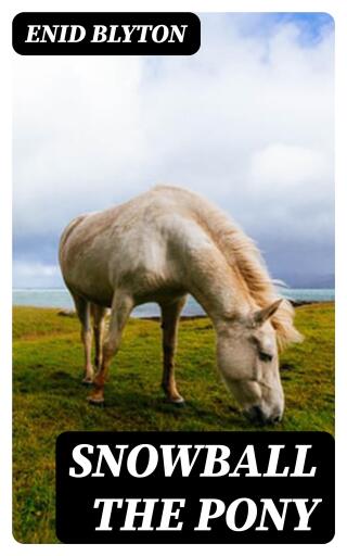 Snowball the Pony