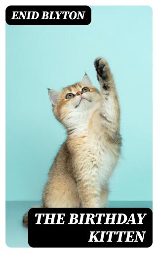 The Birthday Kitten