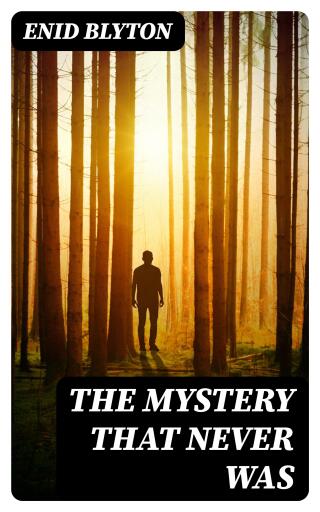 Portada del libro «The Mystery That Never Was», de Enid Blyton