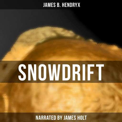 Snowdrift