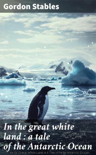 In the great white land : a tale of the Antarctic Ocean
