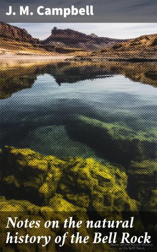 Notes on the natural history of the Bell Rock