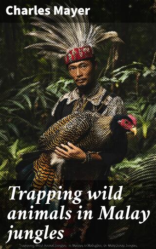 Trapping wild animals in Malay jungles