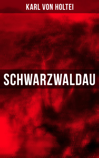 Portada del libro «Schwarzwaldau», de Karl von Holtei