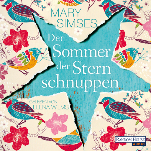 Der Sommer der Sternschnuppen