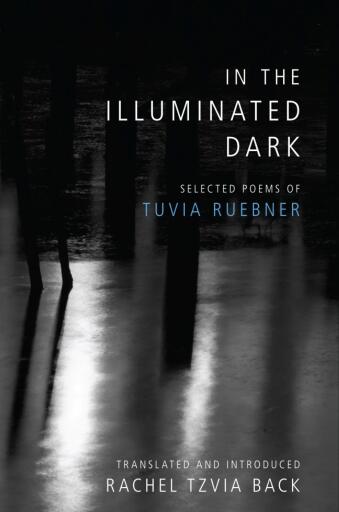 Portada del libro «In the Illuminated Dark», de Tuvia Ruebner
