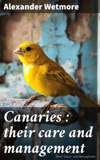 Canaries : their care and management