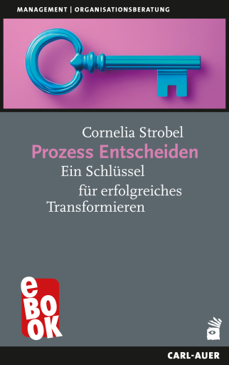 Portada del libro «Prozess Entscheiden», de Cornelia Strobel