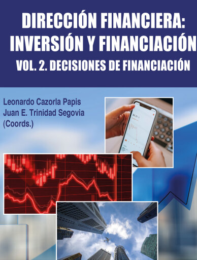 Portada del libro «Dirección Financiera: Inversión Y Financiación Vol 2 Decisiones De Financiación», de Luana Gava