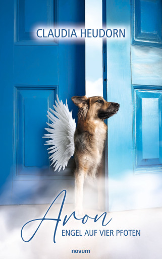 Portada del libro «Aron», de Claudia Heudorn