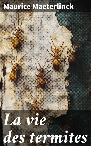 La vie des termites