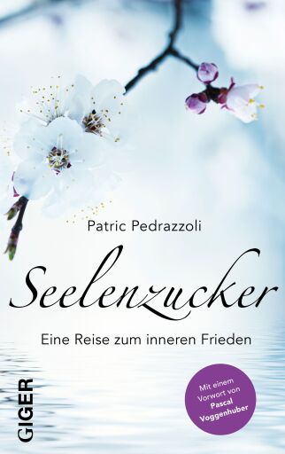 Portada del libro «Seelenzucker», de Patric Pedrazzoli