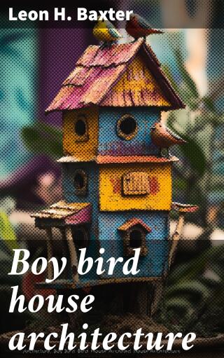 Boy bird house architecture