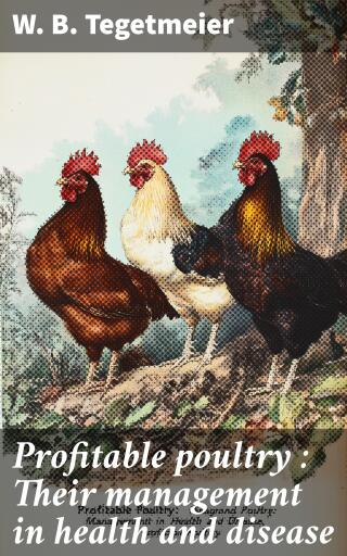 The collected stories of Elisabeth Sanxay Holding