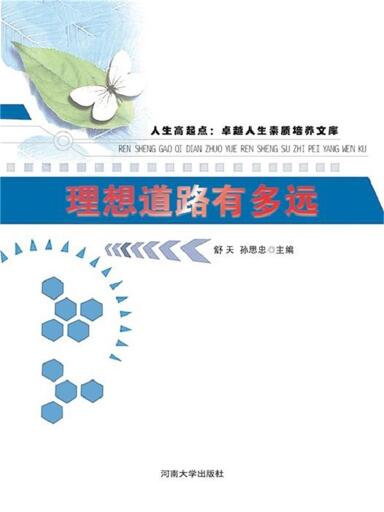 理想道路有多远