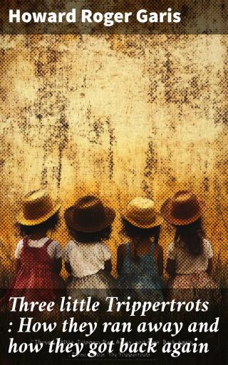 Outlines of mineralogy