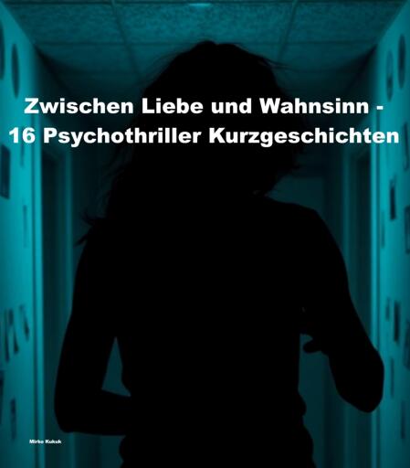 Zwischen Liebe und Wahnsinn - 16 Psychothriller Kurzgeschichten