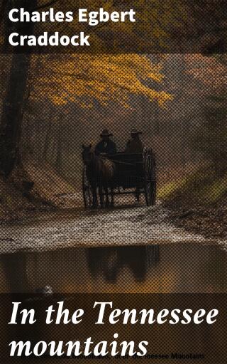 In the Tennessee mountains