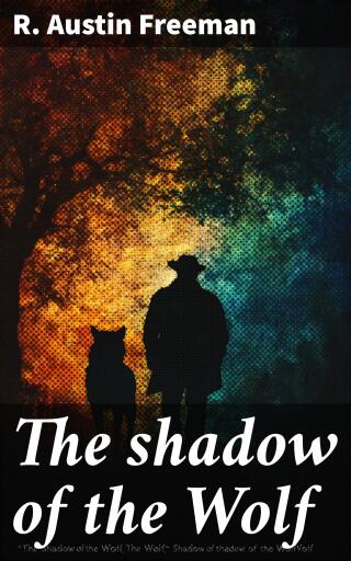 Essays on the use and limit of the imagination in science