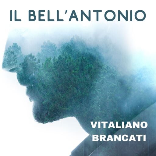 Il bell'Antonio