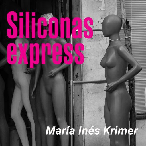 Siliconas express
