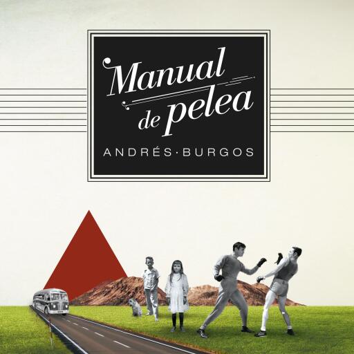 Manual de pelea