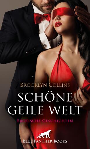 Portada del libro «Schöne geile Welt | 11 Erotische Geschichten», de Brooklyn Collins
