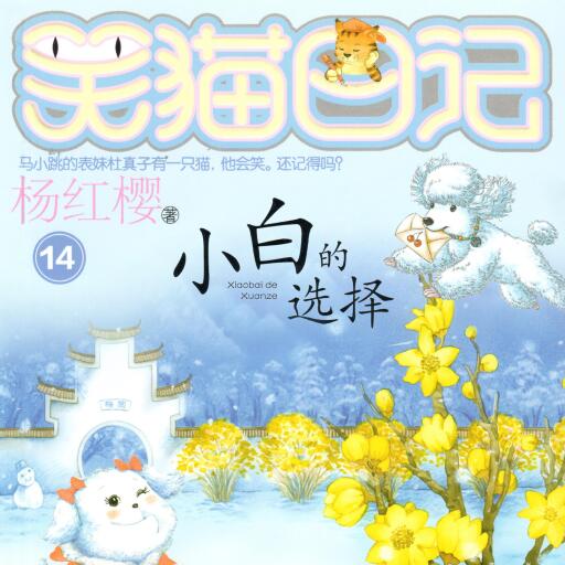 小白的选择