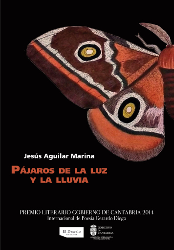 Pájaros de la luz y la lluvia