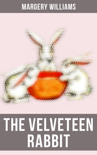 The Velveteen Rabbit