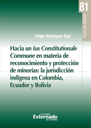 Portada del libro «Hacia un lus Constitucionale Commune en materia de reconocimiento y protección de minorías: la jurisdicción indígena en Colombia, Ecuador y Bolivia», de Felipe Rodríguez Ruiz