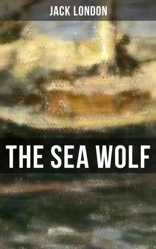 Portada del libro «THE SEA WOLF», de Jack London