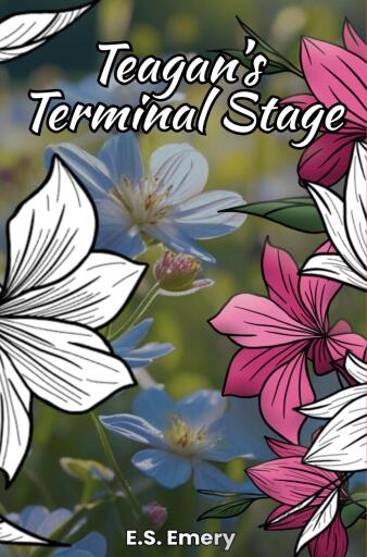 Portada del libro «Teagan's Terminal Stage», de E.S. Emery