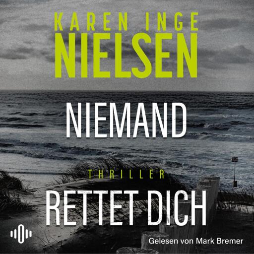 Niemand rettet dich (Grenzland 3) Titelbild