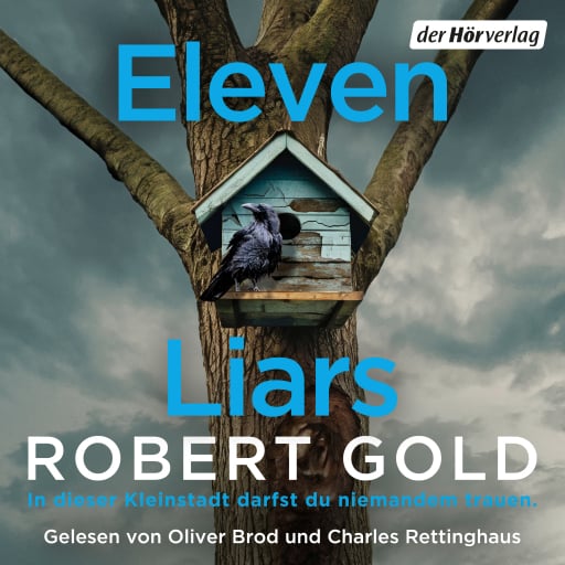 Eleven Liars Titelbild