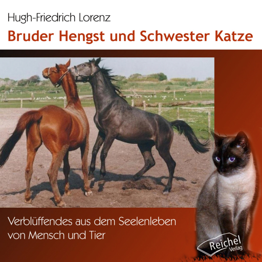 Portada del audiolibro «Bruder Hengst und Schwester Katze», de Hugh-Friedrich Lorenz