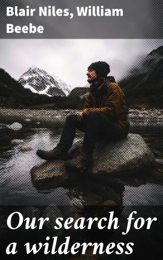 Our search for a wilderness