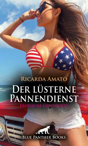 Portada del libro «Der lüsterne Pannendienst | Erotische Geschichte», de Ricarda Amato
