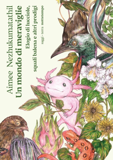 Un mondo di meraviglie