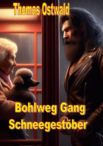 Portada del libro «Bohlweg Gang - Schneegestöber», de Thomas Ostwald