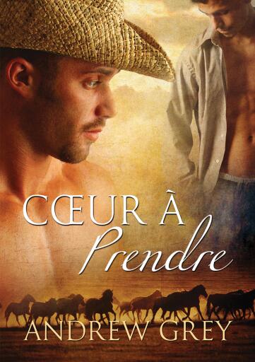 Portada del libro «Cœur à prendre», de Andrew Grey