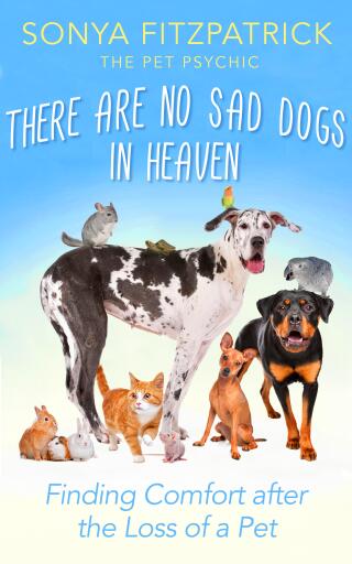 There Are No Sad Dogs In Heaven