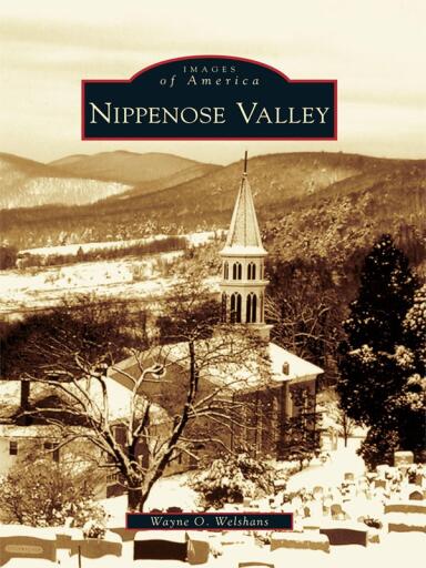 Portada del libro «Nippenose Valley», de Wayne O. Welshans