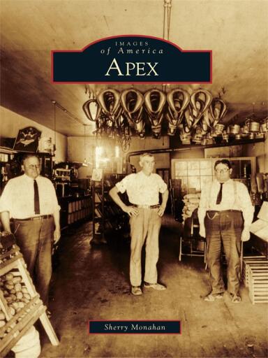 Portada del libro «Apex», de Sherry Monahan