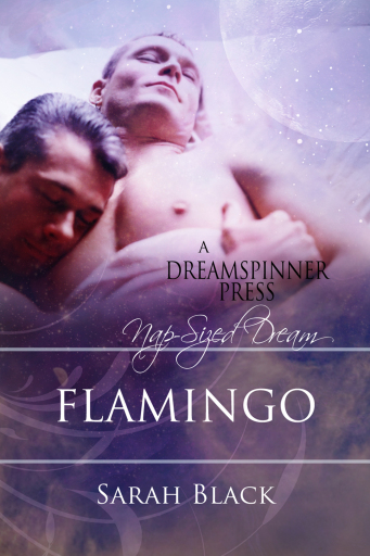 Portada del libro «Flamingo», de Sarah Black