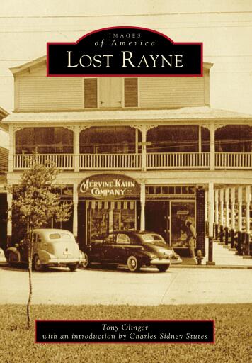 Portada del libro «Lost Rayne», de Tony Olinger