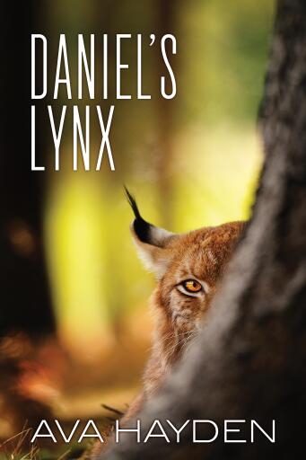 Daniel's Lynx