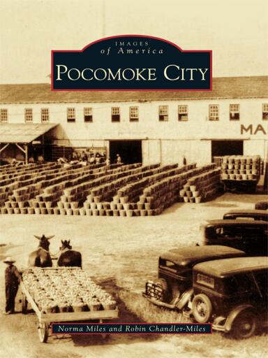 Portada del libro «Pocomoke City», de Norma Miles, Robin Chandler-Miles